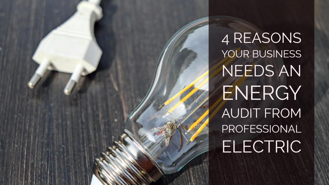 4 Reasons Your Business Needs An Energy Audit From Professional Electric