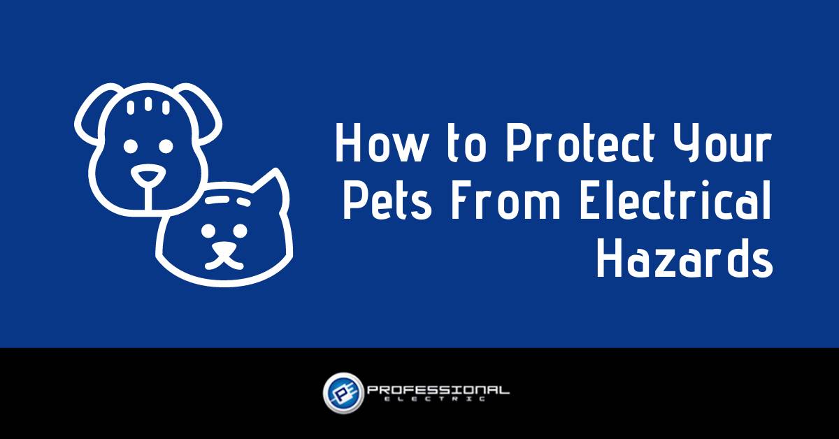 How to Protect Your Pets From Electrical Hazards